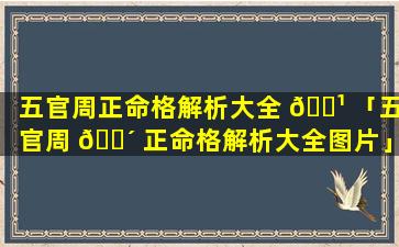 五官周正命格解析大全 🌹 「五官周 🌴 正命格解析大全图片」